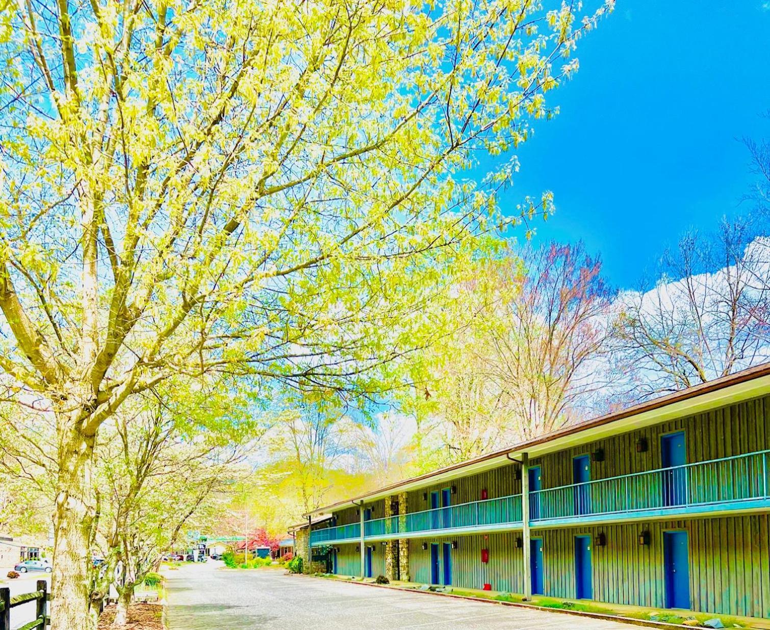 Newfound Lodge On The River Cherokee Esterno foto